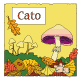 kaart Herfst