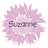 Roze zonnebloem