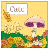 geboortekaartje herfst voor