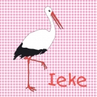 geboortekaartje Ooievaar voor