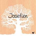 geboortekaartje Winterboom-hout-voor